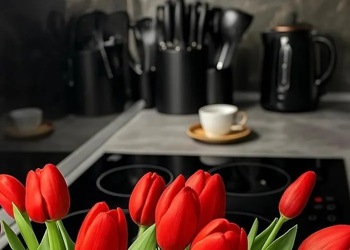 Lb - Luna Luxury Bergamo